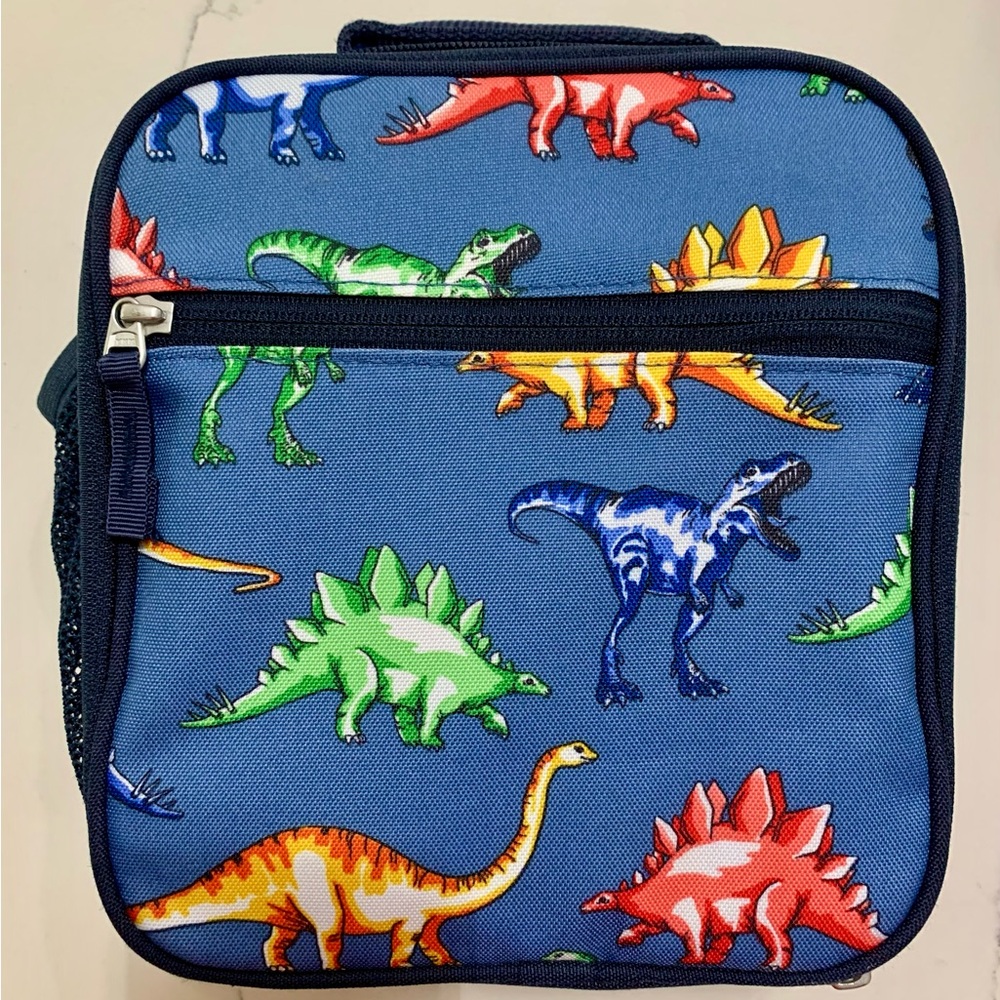 Pottery Barn, Dinosaur Print Blue Lunch box